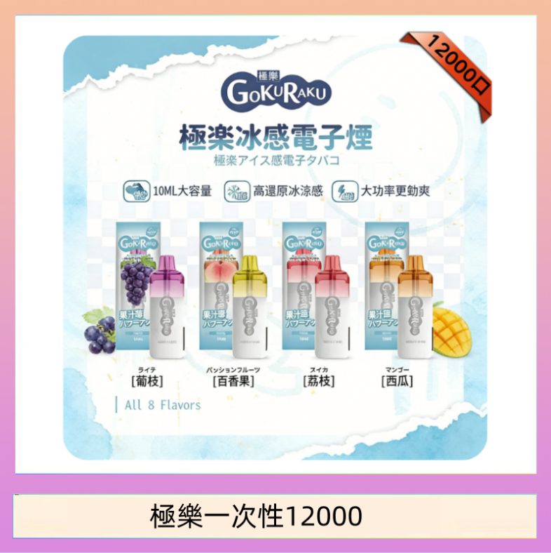 【8種口味】極楽 12000口一次性電子煙|超大容量 |口感絲滑|新品